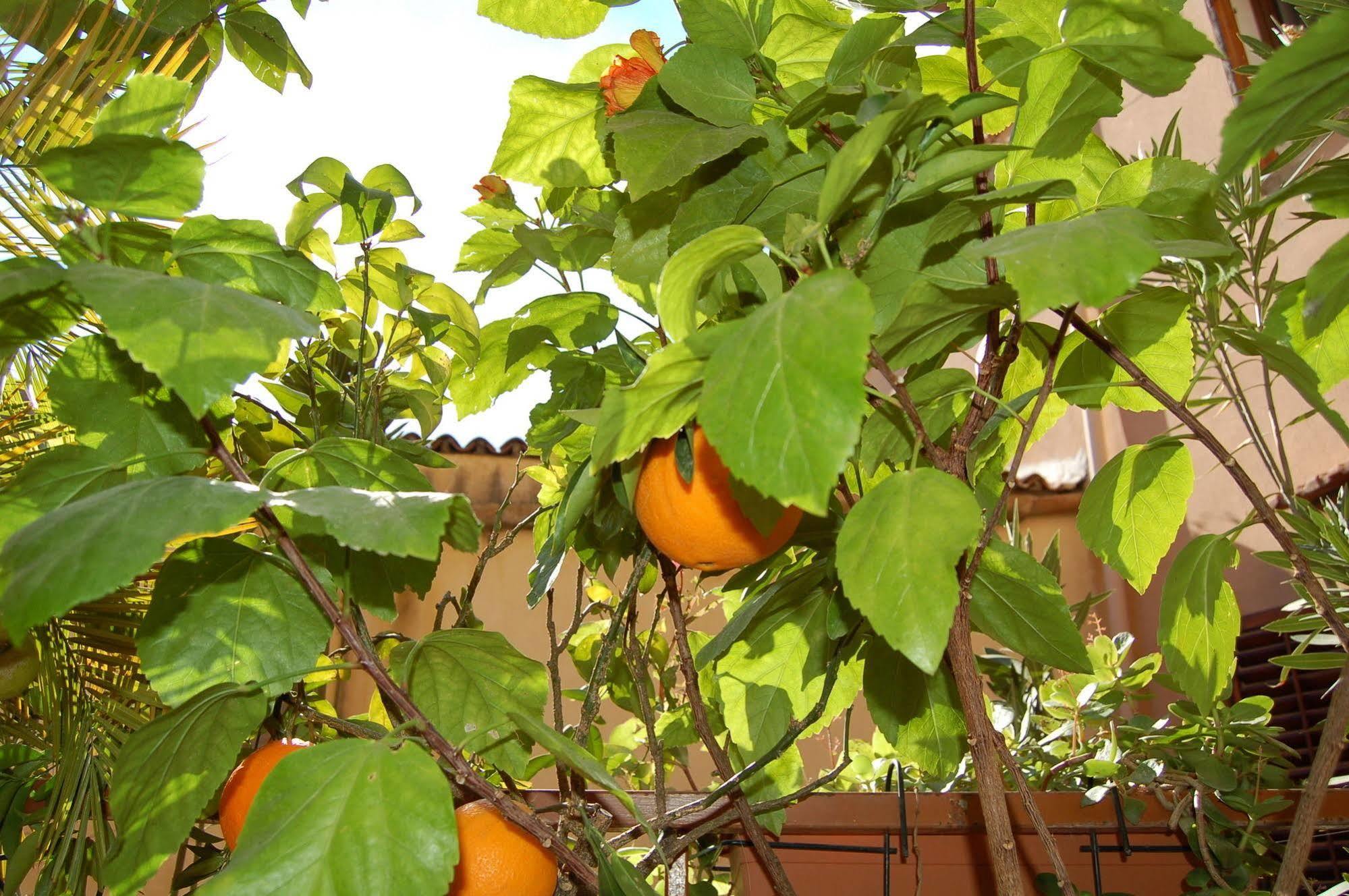 Apartamento Al Vicoletto Agrigento Exterior foto